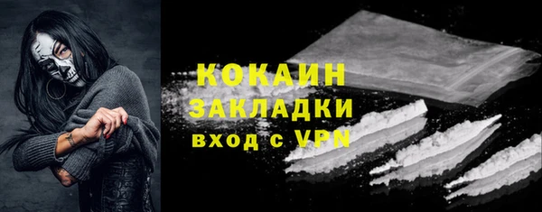 МДПВ Пересвет
