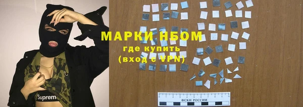 МДПВ Пересвет