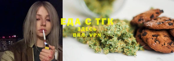 МДПВ Пересвет