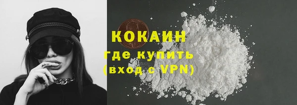 МДПВ Пересвет