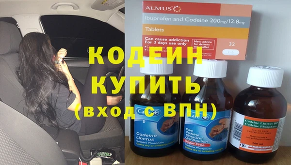 МДПВ Пересвет
