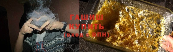 МДПВ Пересвет