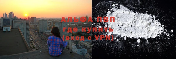 МДПВ Пересвет