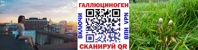 Галлюциногенные грибы мицелий  Россошь 